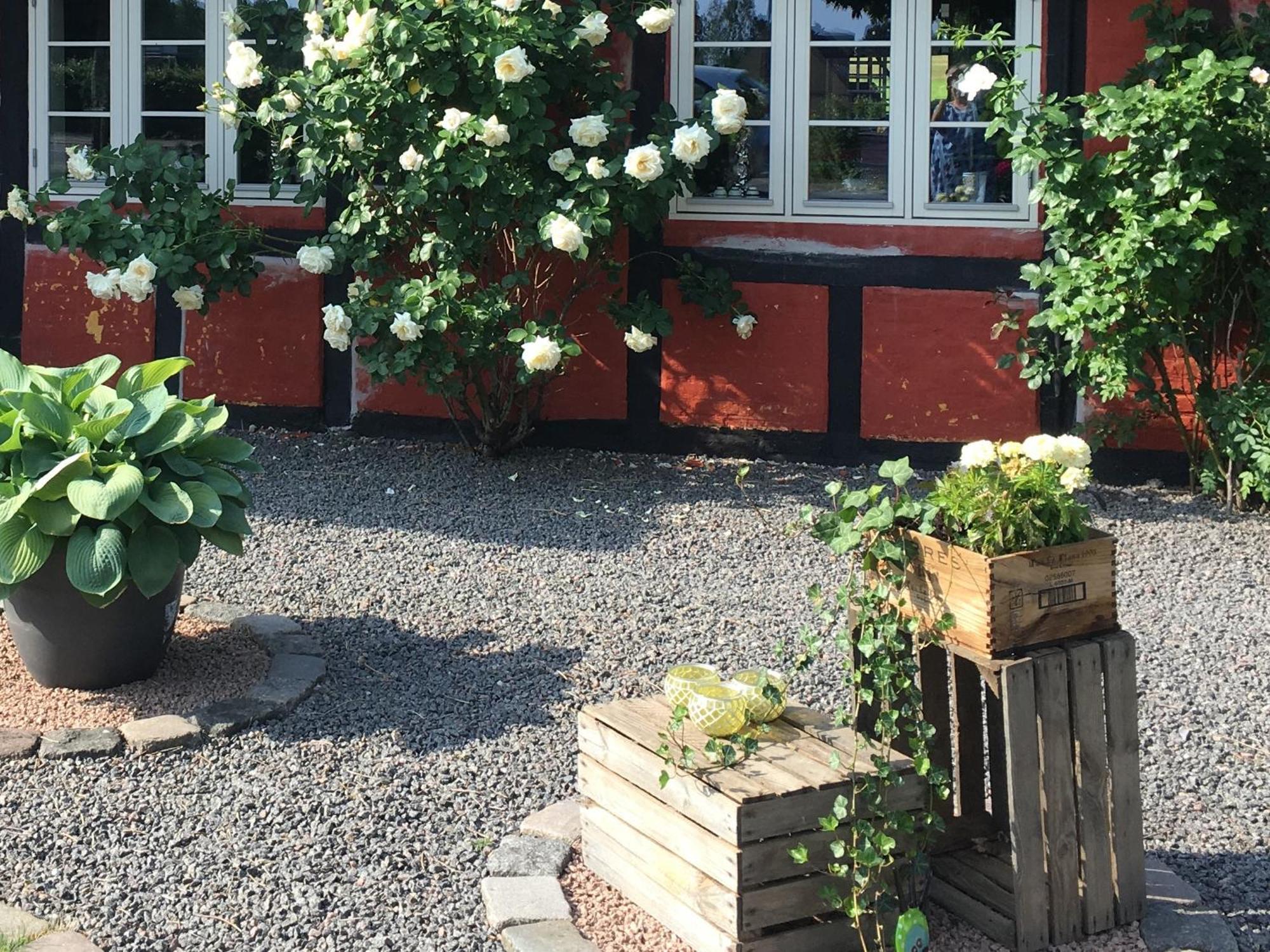 Lolland Bed & Breakfast Sollested  Exterior foto